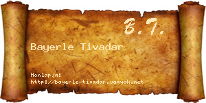 Bayerle Tivadar névjegykártya